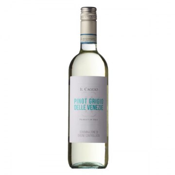 IlCaggioPinotGrigio